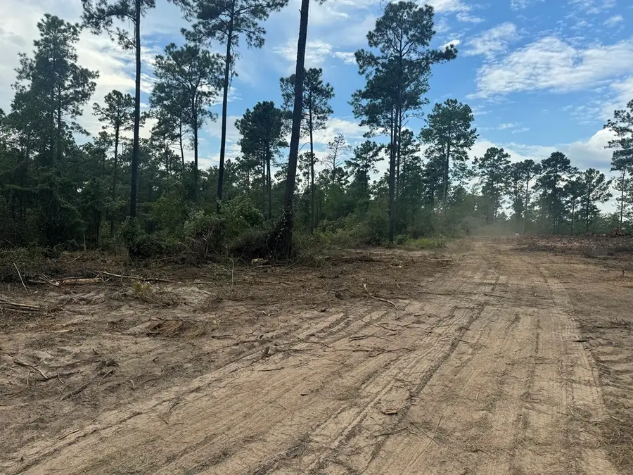 090 County Divide Road, Pineland, TX 75968 - #3