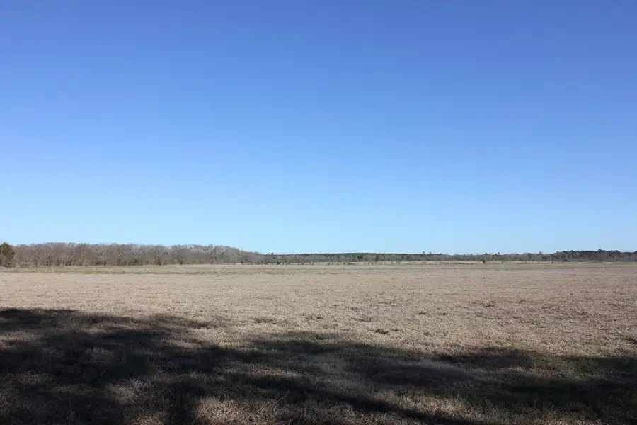 PID 38061 Cotton Thompson Road, Lufkin, TX 75901 - #2