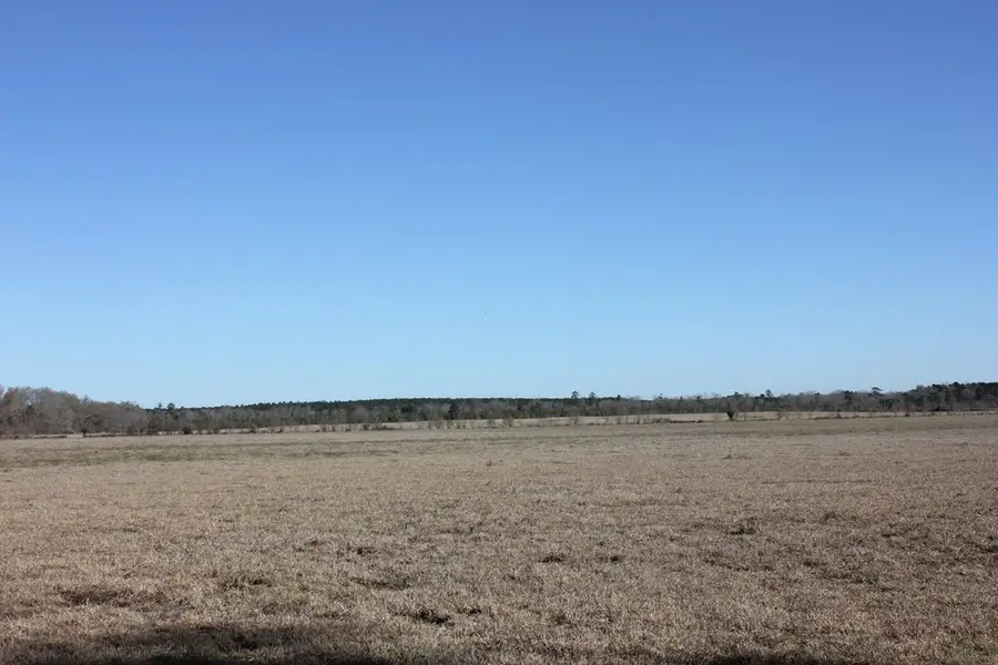 PID 38061 Cotton Thompson Road, Lufkin, TX 75901 - #3