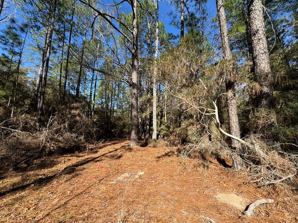 125 Sumac Drive, Brookeland, TX 75931 - #1