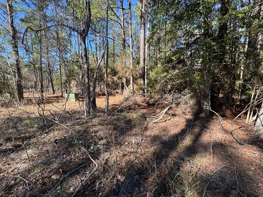 125 Sumac Drive, Brookeland, TX 75931 - #3