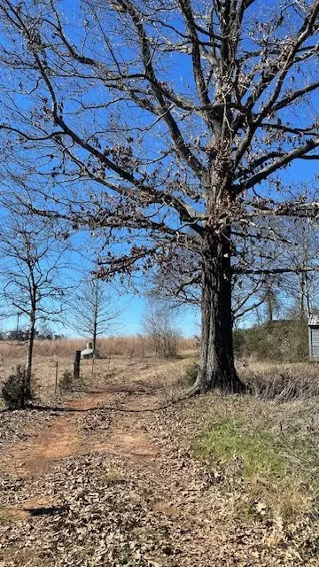 143 Cr 4256, Timpson, TX 75975 - #2