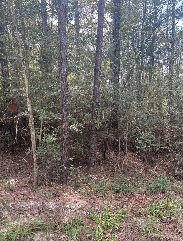 155 Sitka, Brookeland, TX 75931 - Image #3