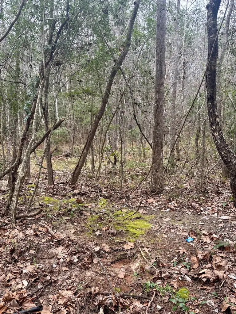 8895 Us Highway 96, Jasper, TX 75951 - #2