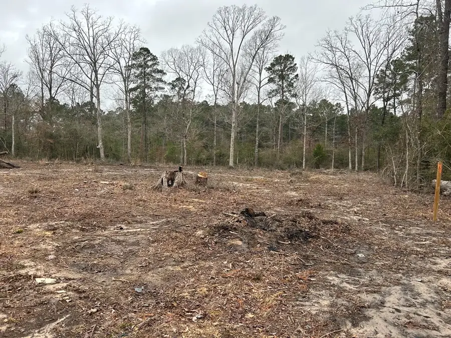 288 Wooded Acres Rd, Huntington, TX 75949 - #3