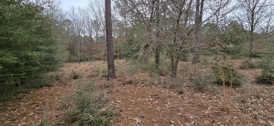 PIDN 51641 County Road 222, Brookeland, TX 75931 - #2