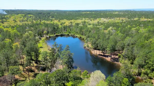 TBD Black Squirrel Road East, Brookeland, TX 75931