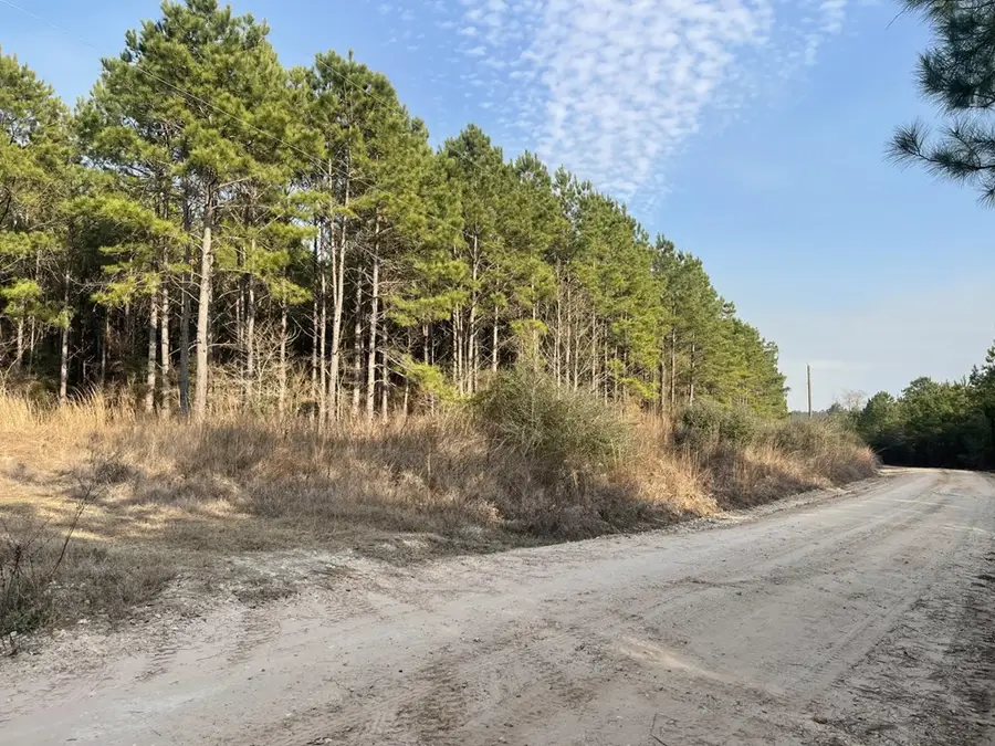 Tract 21 Kickapoo Road, Groveton, TX 75845 - #3