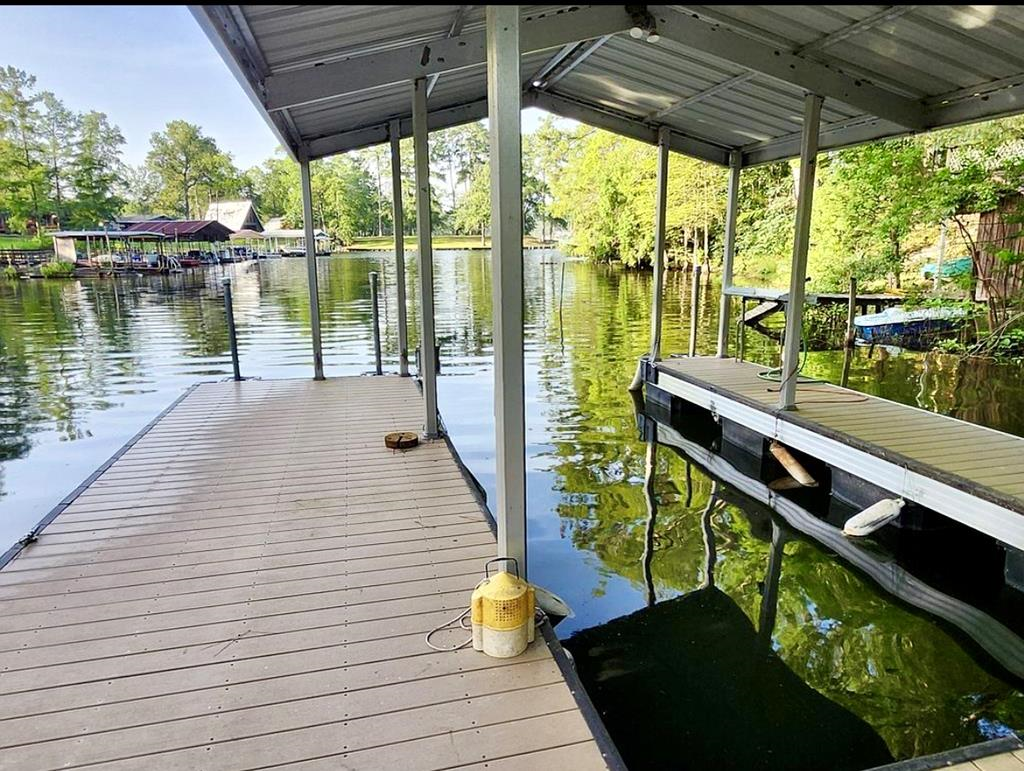 219 Magnolia Drive, Burkeville, TX 75932 - #1