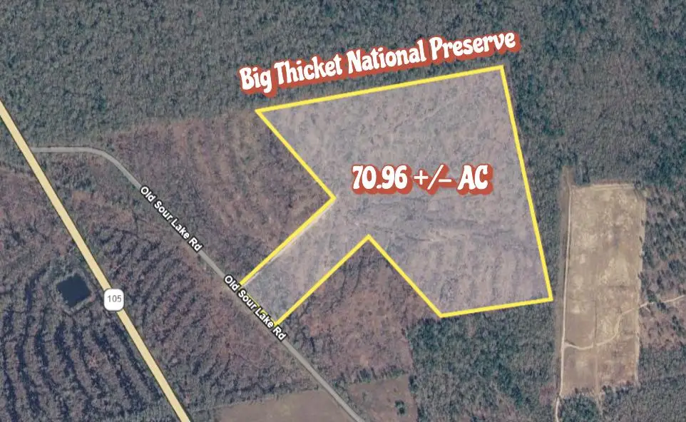 70.96 AC +/- Old Sour Lake Road, Sour Lake, TX 77659 - #1