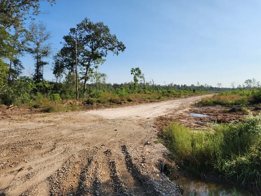 70.96 AC +/- Old Sour Lake Road, Sour Lake, TX 77659 - #3