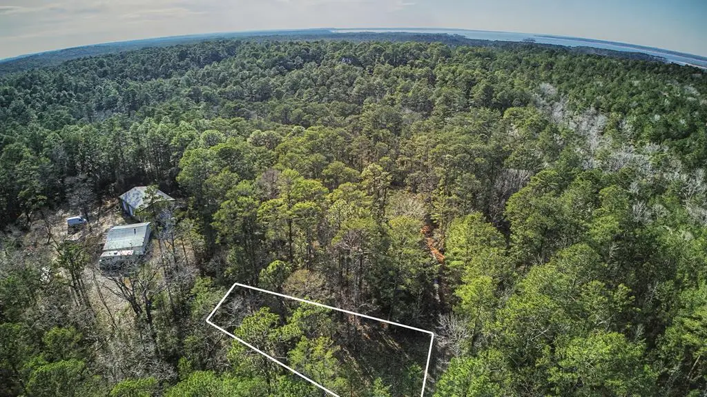 179 Sassafras, Brookeland, TX 75931 - #1