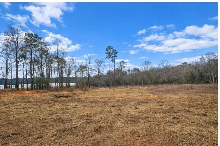 407 Old Tejas Trail West, Hemphill, TX 75948 - #1