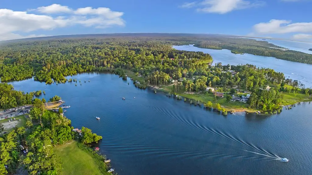 1810 County Road 219, Brookeland, TX 75931 - #1