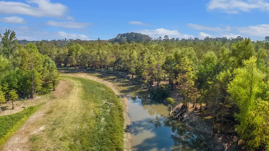 1810 County Road 219, Brookeland, TX 75931 - #3