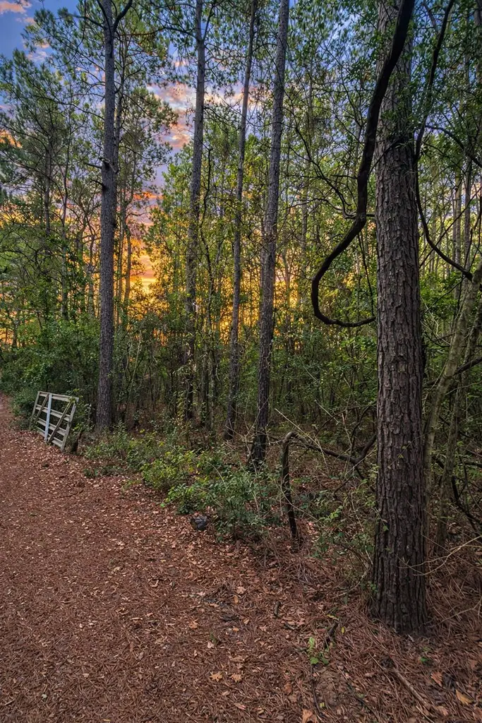 TBD County Road 4595, Warren, TX 77664 - #2