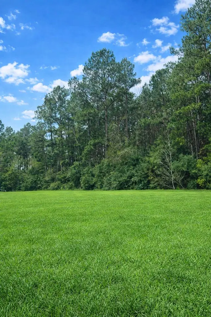 TBD County Road 4595, Warren, TX 77664 - #3