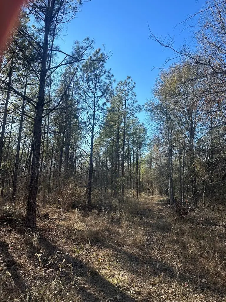 A0425 Fm 358, Groveton, TX 75845 - Image #3