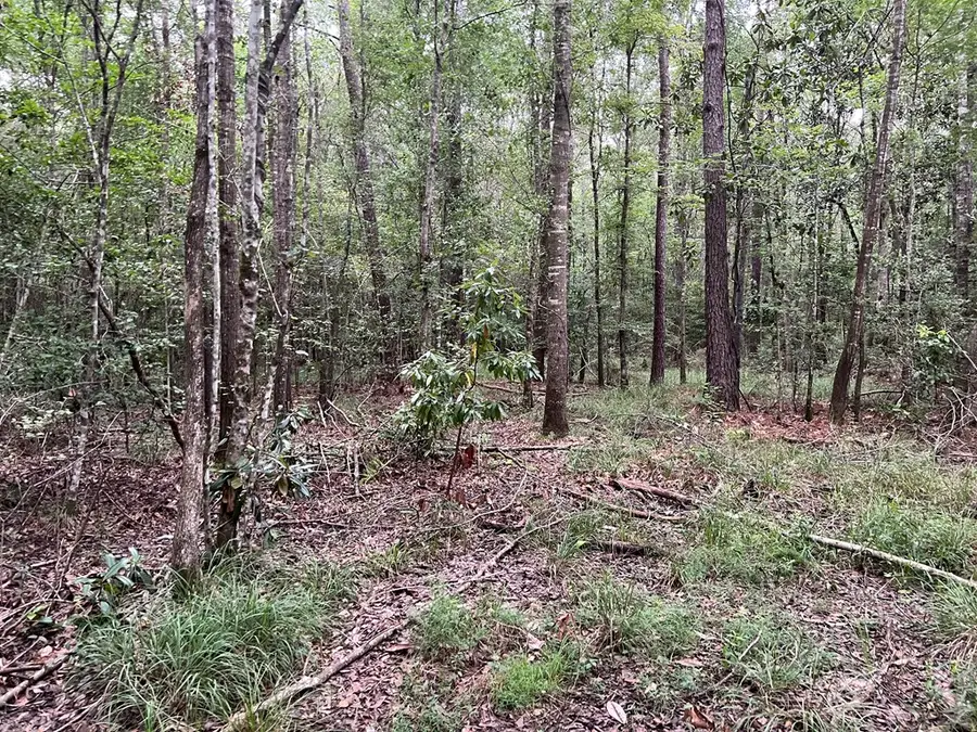 #3