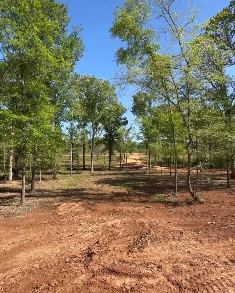 450 Oak Springs, Nacogdoches, TX 75965 - #3