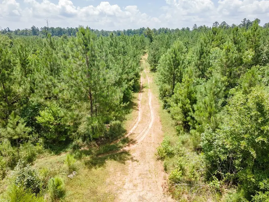 1455 Neal Road, Huntington, TX 75949 - #2