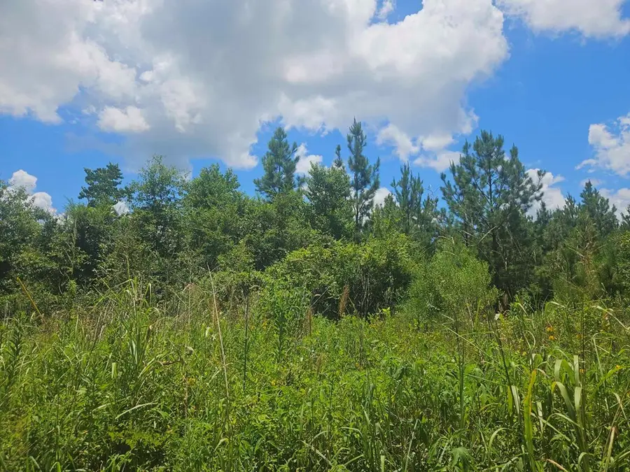 1455 Neal Road, Huntington, TX 75949 - #3