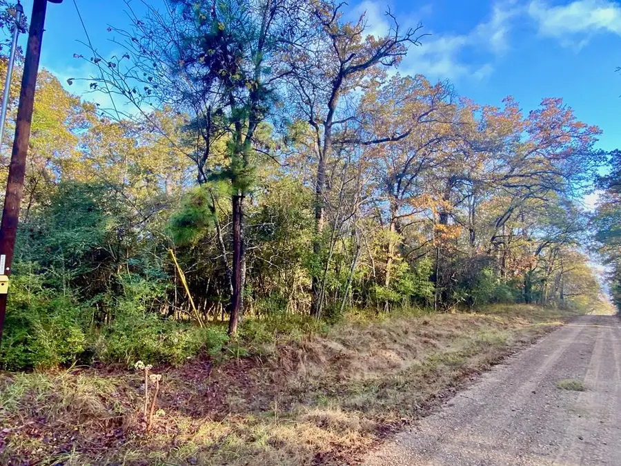 TBD Lakeview Circle, Crockett, TX 75835 - #2