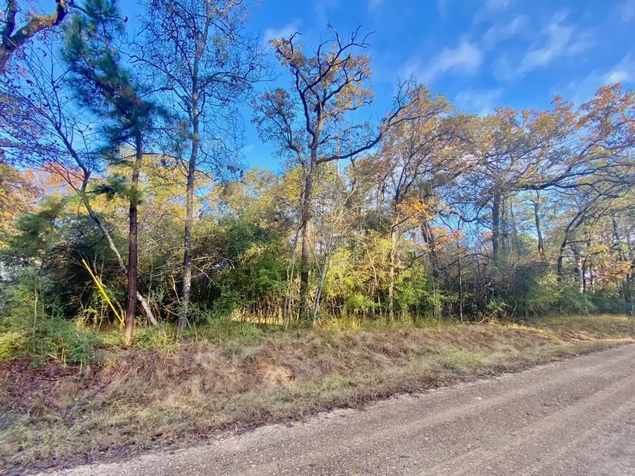 TBD Lakeview Circle, Crockett, TX 75835 - #3