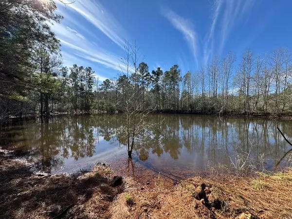 7365 Fm 2022n, Grapeland, TX 75844