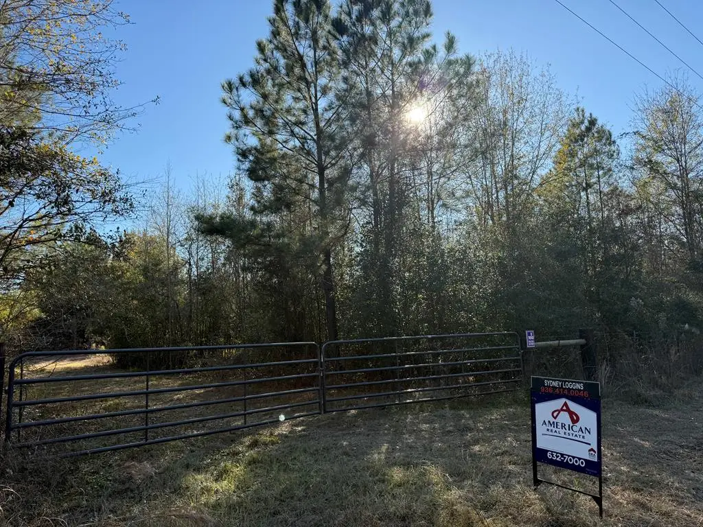 1729 Neal Road, Huntington, TX 75949 - Image #1