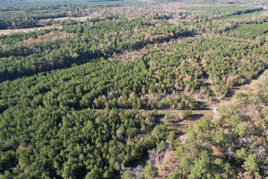 1729 Neal Road, Huntington, TX 75949 - Image #2