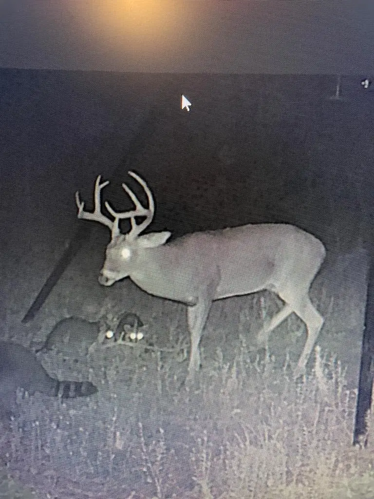 1729 Neal Road, Huntington, TX 75949 - Image #3