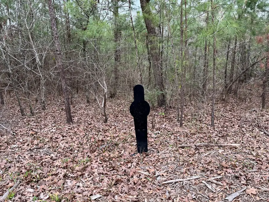 #3