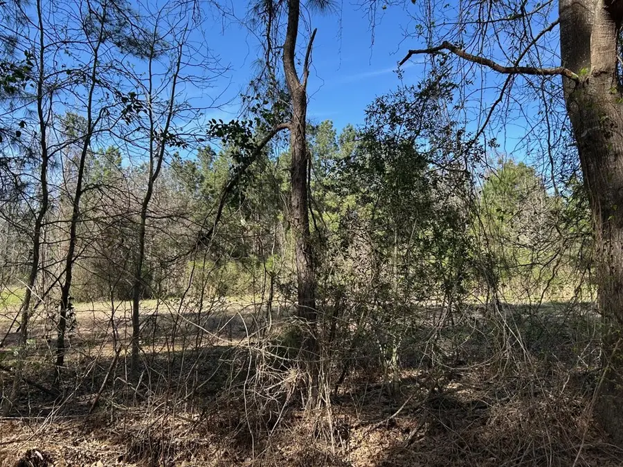 214 Haddaway Lane, Lufkin, TX 75901 - Image #3