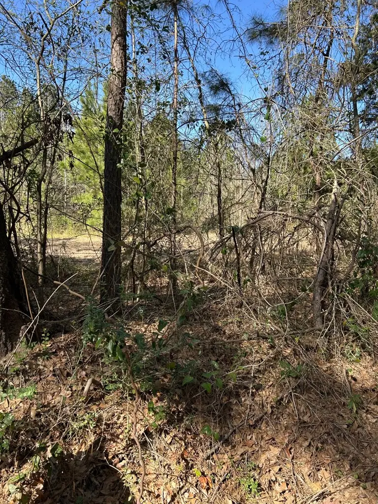 200 Haddaway Lane, Lufkin, TX 75901 - #2