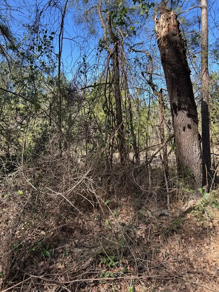 200 Haddaway Lane, Lufkin, TX 75901 - #3