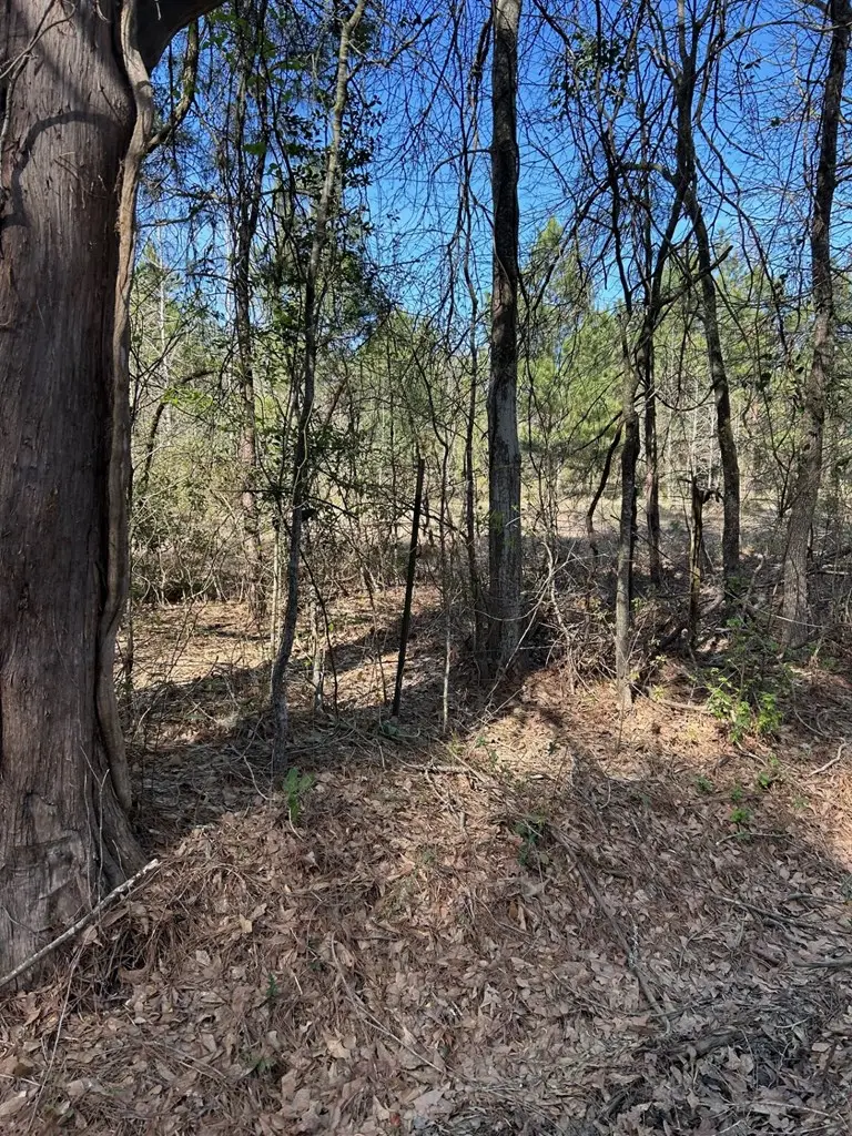 184 Haddaway Lane, Lufkin, TX 75901 - Image #3