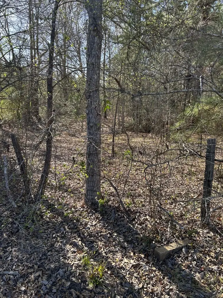 538 Loving Road, Lufkin, TX 75901 - Image #3