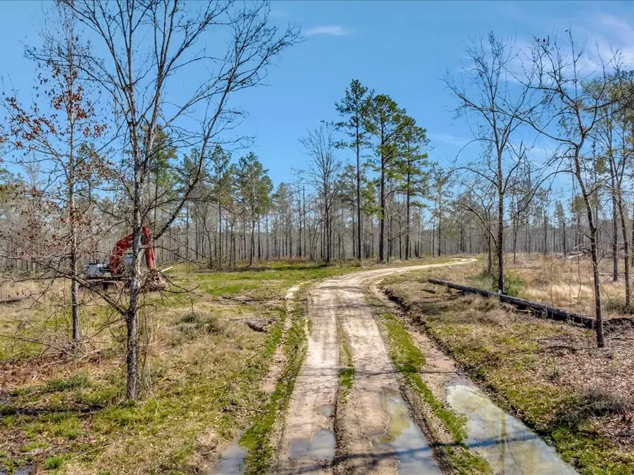 Lot 4 Fm 2497, Lufkin, TX 75904 - #2