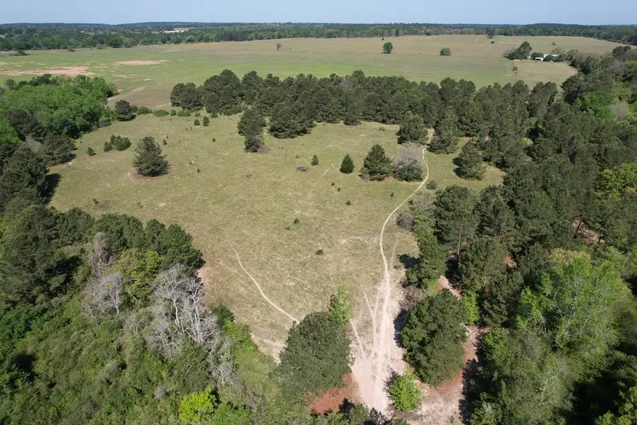 2954 Cr 2170, Grapeland, TX 75844 - #2