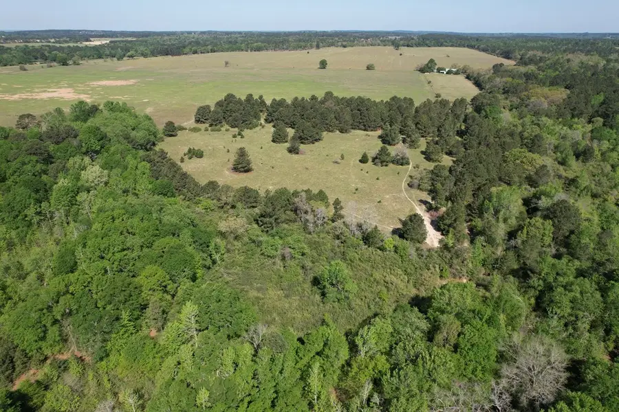 2954 Cr 2170, Grapeland, TX 75844 - #3