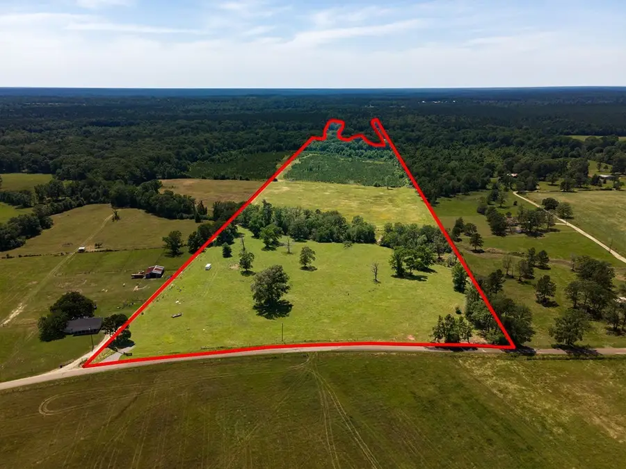 R13687 Cheeseland Road, Pollok, TX 75969 - Image #2