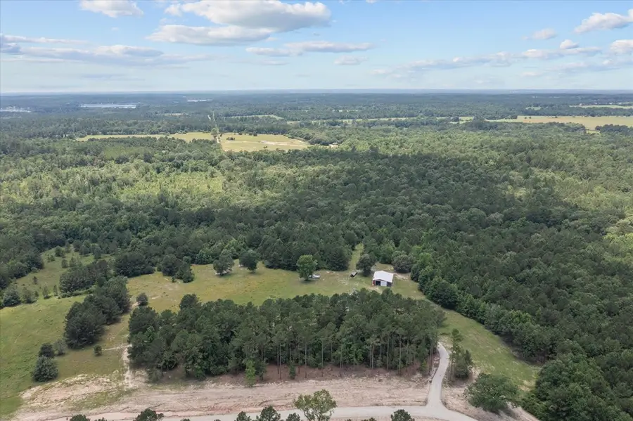 656 Vineyard View Trail, Grapeland, TX 75844 - #2