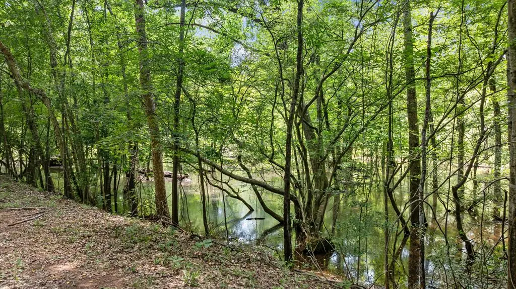 1546 Cr 2214, Rusk, TX 75785 - #1