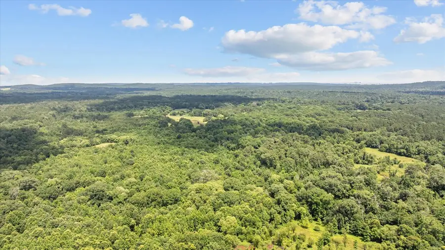 1546 Cr 2214, Rusk, TX 75785 - #3