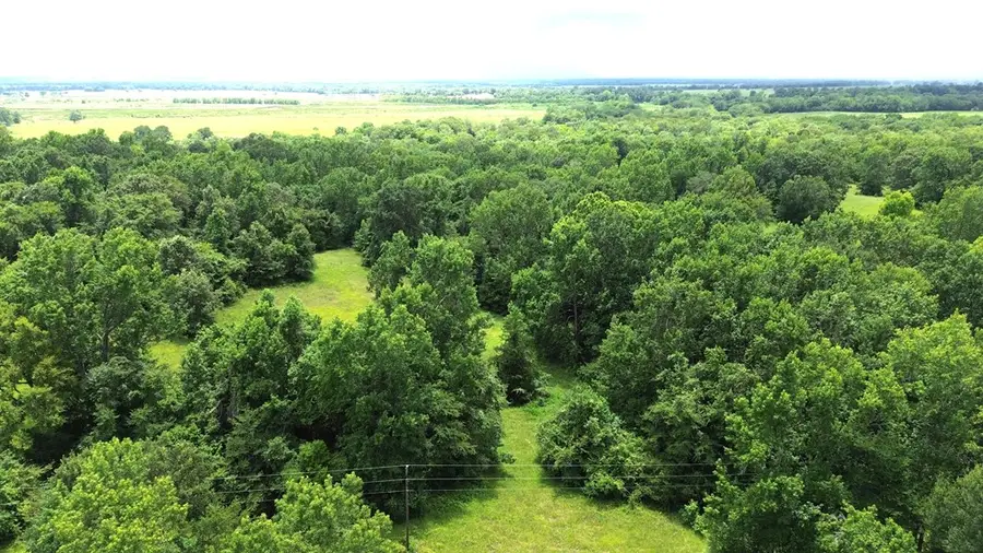 Tract 1 Cr 2065, Crockett, TX 75835 - #2