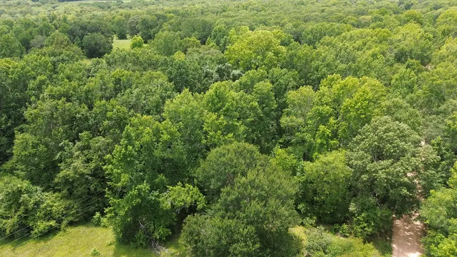 Tract 1 Cr 2065, Crockett, TX 75835 - #3