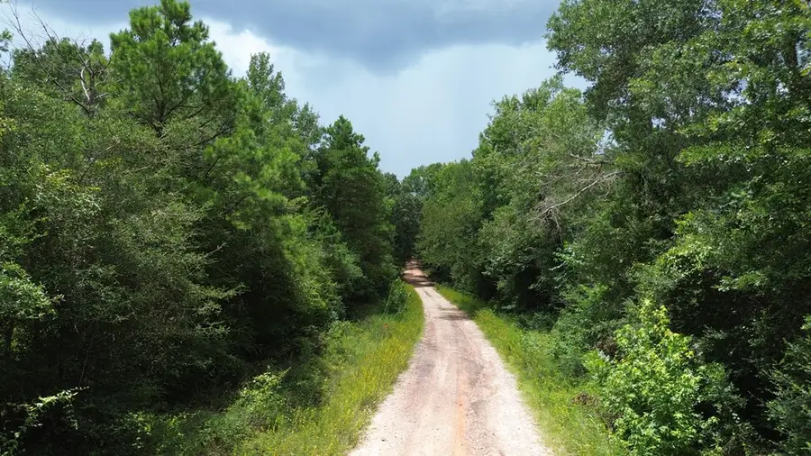 Tract 3 Cr 2065, Crockett, TX 75835 - #3