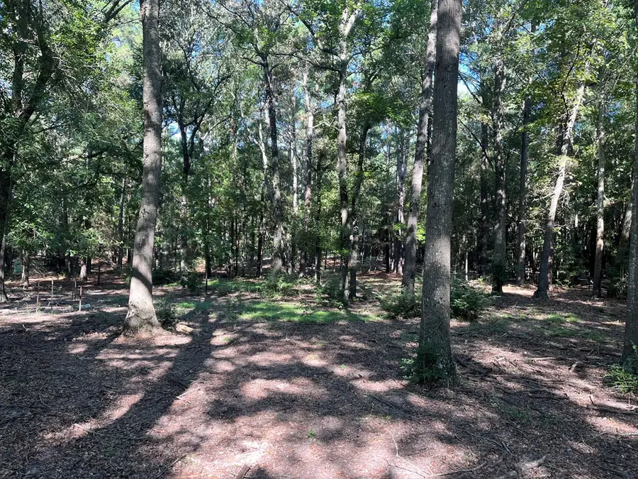 18947 Hwy 259, Nacogdoches, TX 75965 - Image #2