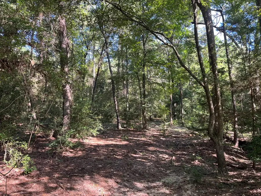 18947 Hwy 259, Nacogdoches, TX 75965 - Image #3